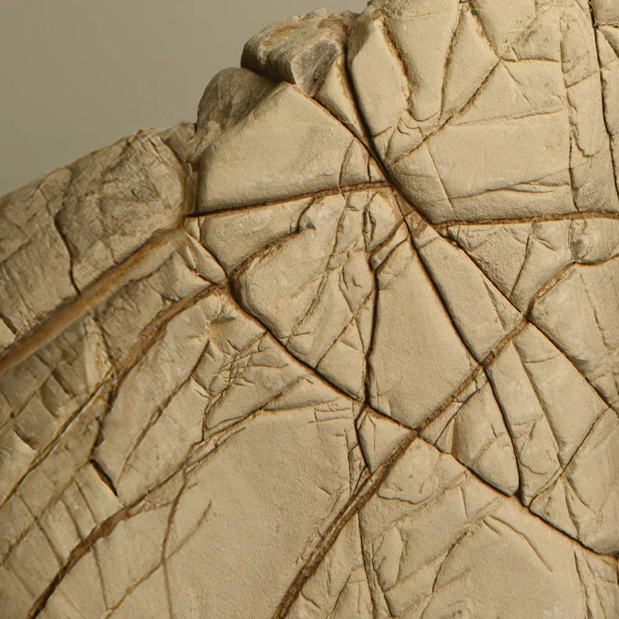 How to preserve your natural collagen reserves